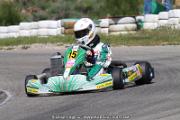 20110501_ales_agnus (3503)